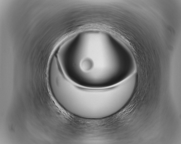 X0000112081536200908111444