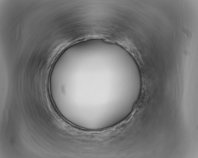 X0000112080001200908181252