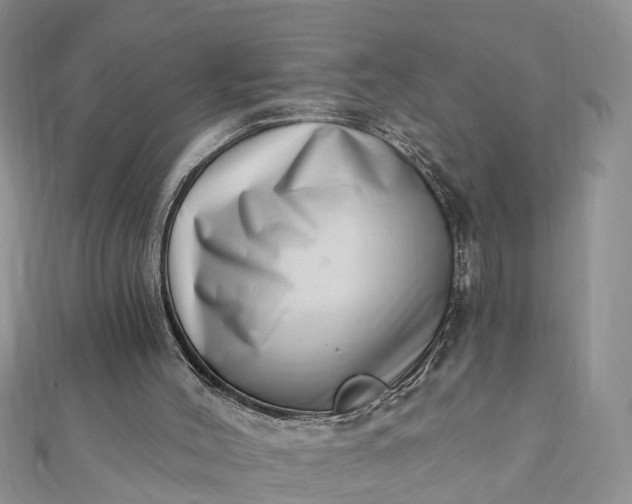 X0000112080004200908181252