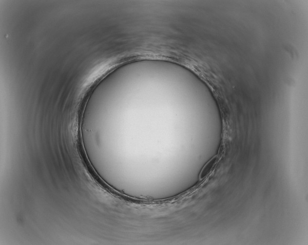 X0000112080005200908181252