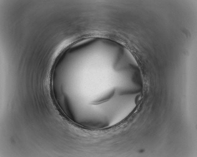 X0000112080006200908181252