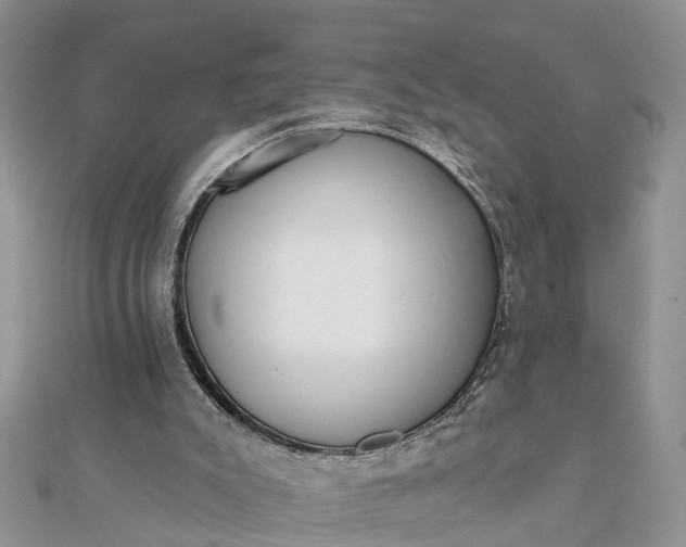 X0000112080007200908181252