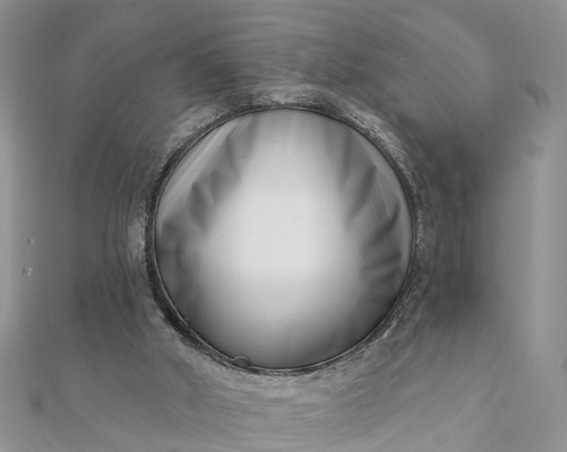 X0000112080010200908181252