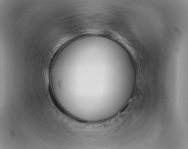 X0000112080011200908181252