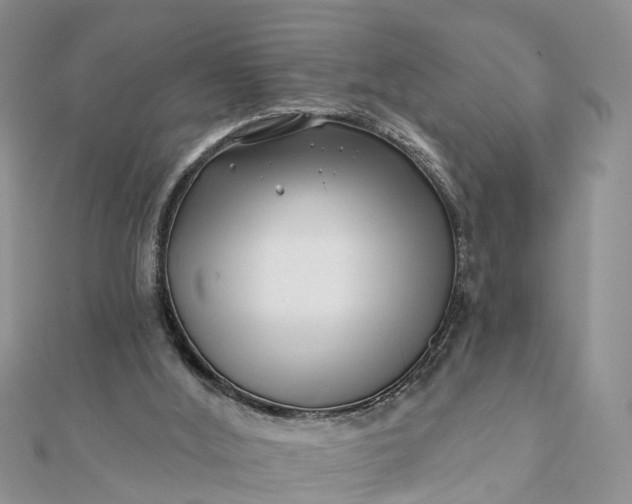 X0000112080012200908181252