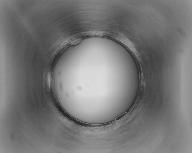 X0000112080013200908181252