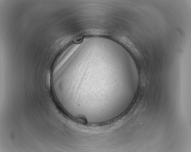 X0000112080014200908181252