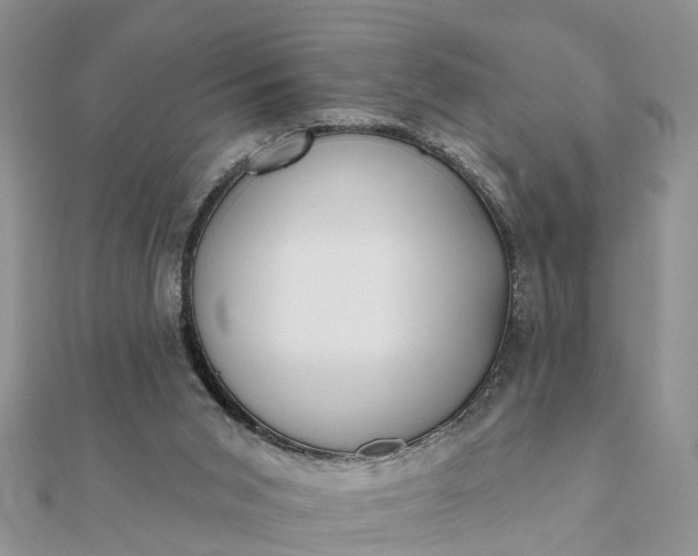 X0000112080015200908181252