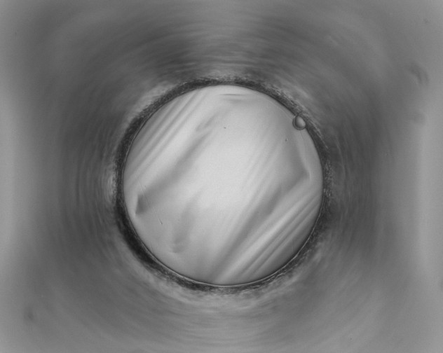 X0000112080016200908181252