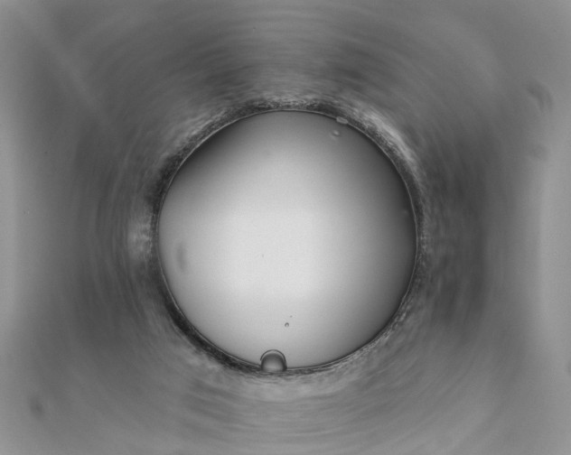 X0000112080017200908181252