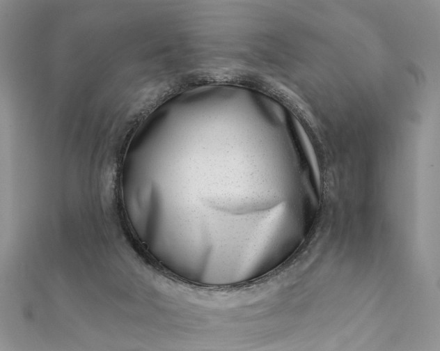 X0000112080018200908181252