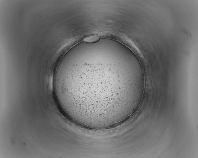 X0000112080019200908181252