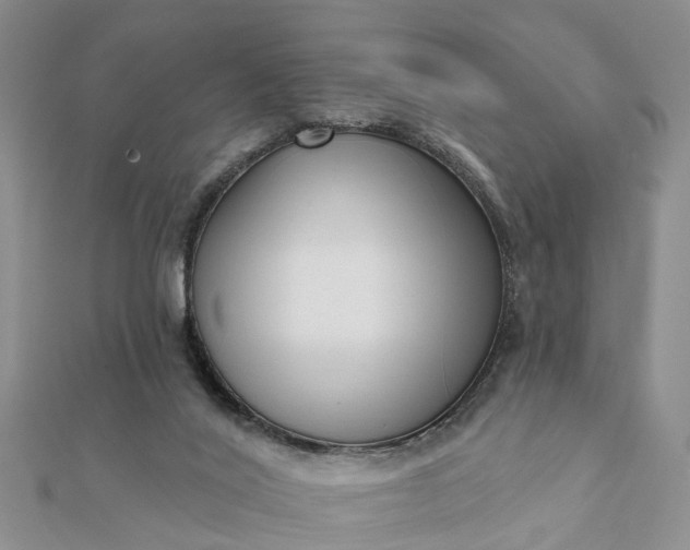 X0000112080020200908181252