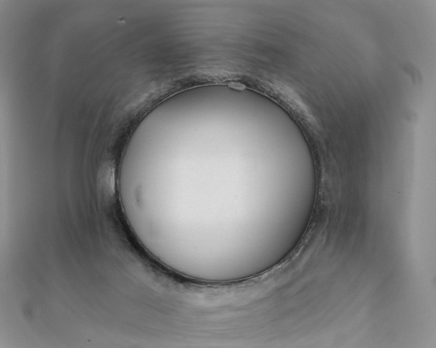 X0000112080021200908181252