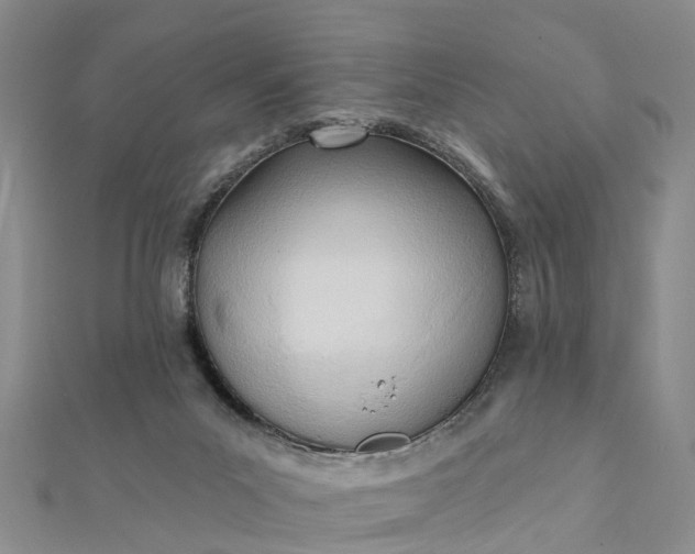 X0000112080023200908181252