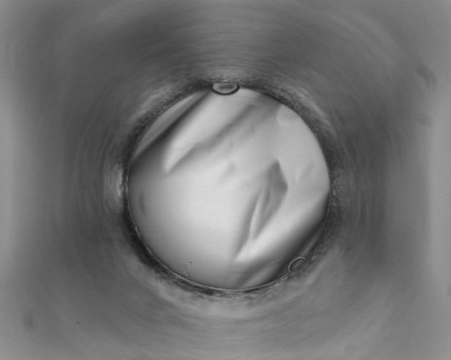 X0000112080024200908181252