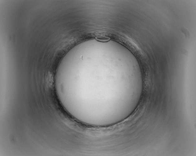 X0000112080025200908181252