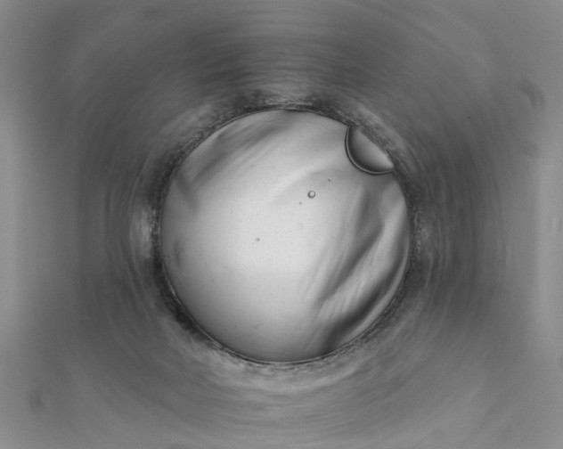 X0000112080026200908181252