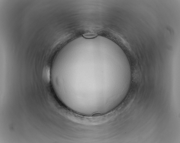 X0000112080027200908181252