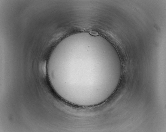 X0000112080028200908181252