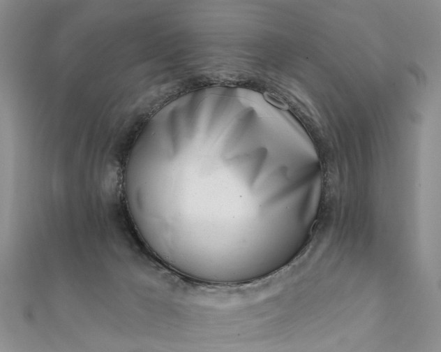 X0000112080029200908181252