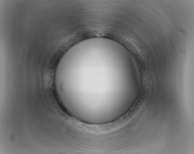 X0000112080030200908181252