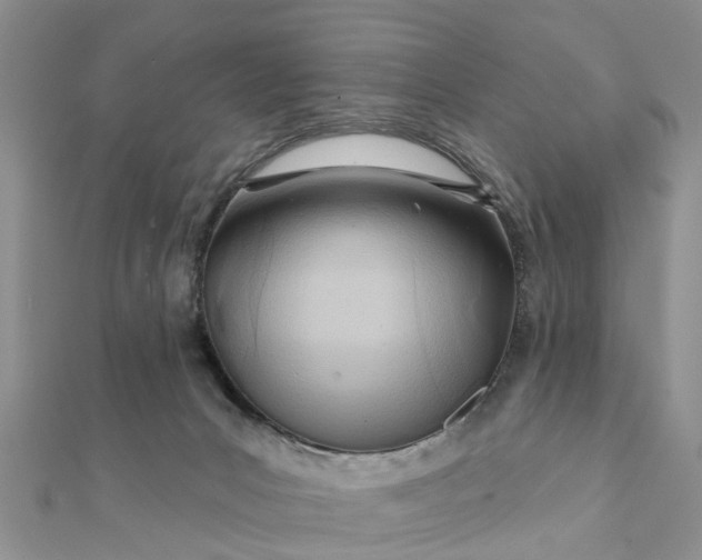 X0000112080031200908181252