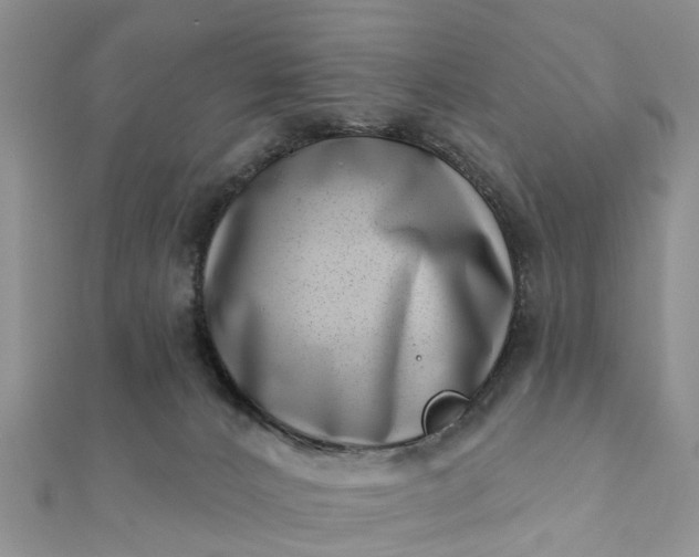 X0000112080032200908181252