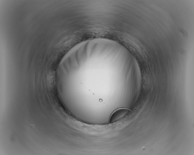 X0000112080034200908181252