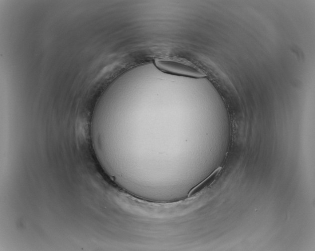 X0000112080035200908181252