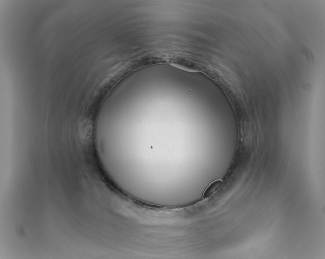 X0000112080036200908181252