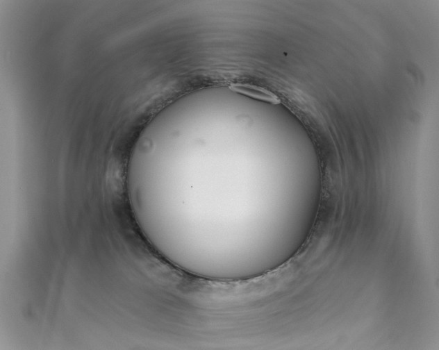 X0000112080037200908181252