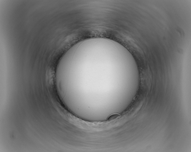 X0000112080038200908181252