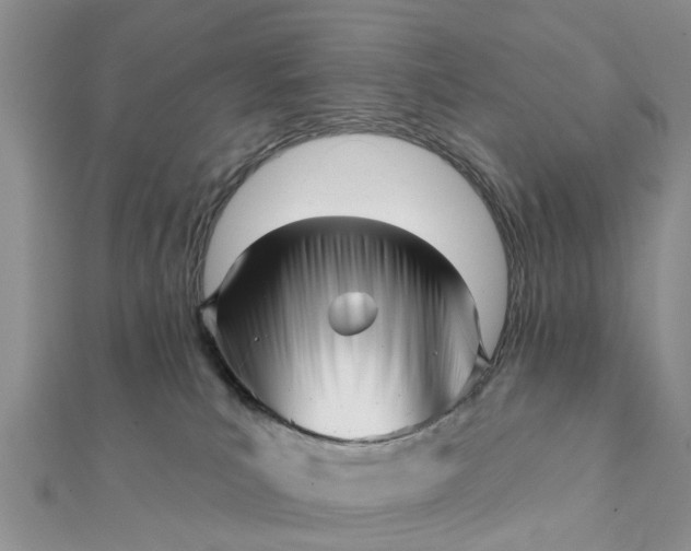 X0000112080039200908181251