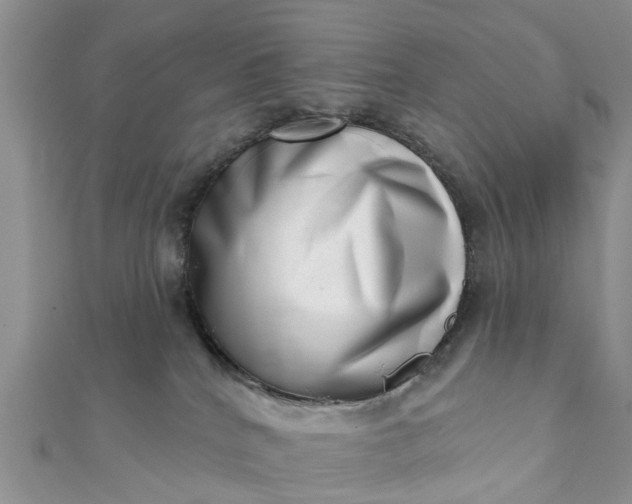 X0000112080040200908181251