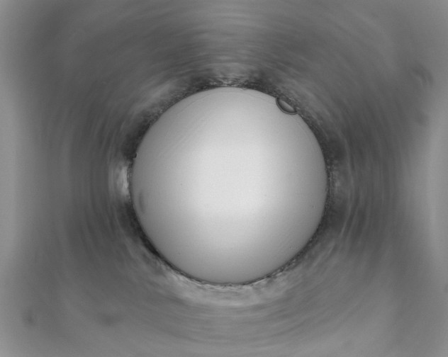 X0000112080042200908181251