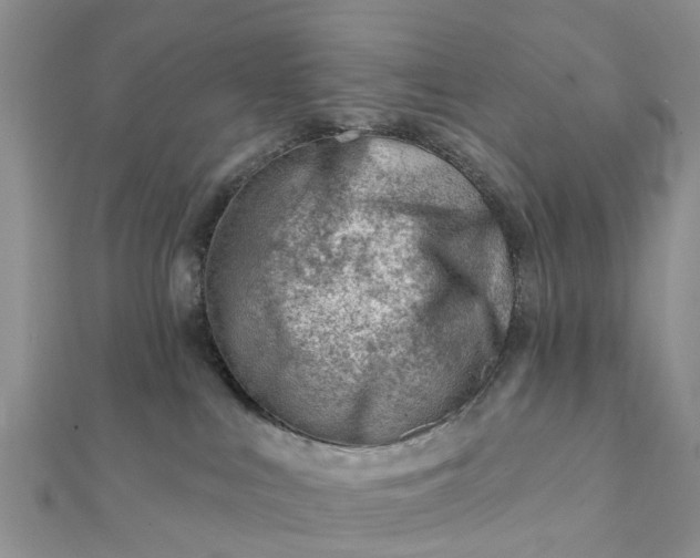 X0000112080043200908181251