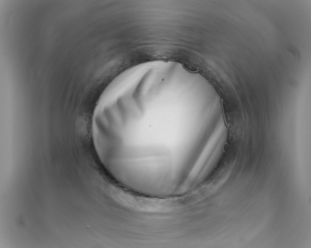 X0000112080044200908181251