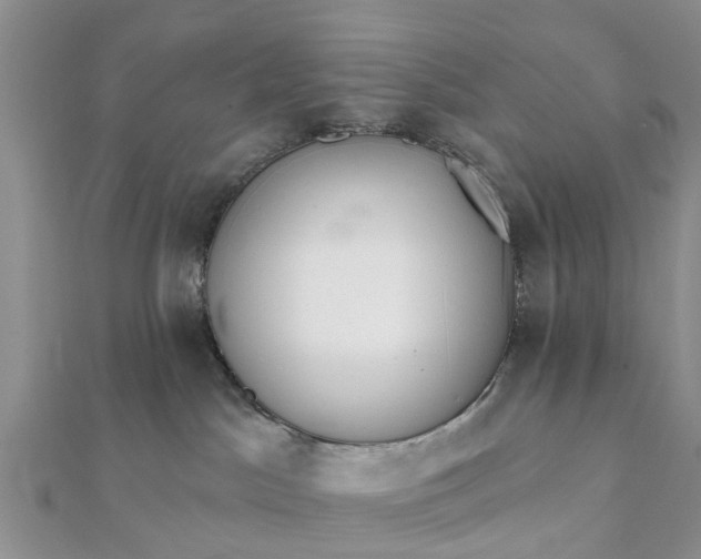 X0000112080045200908181251