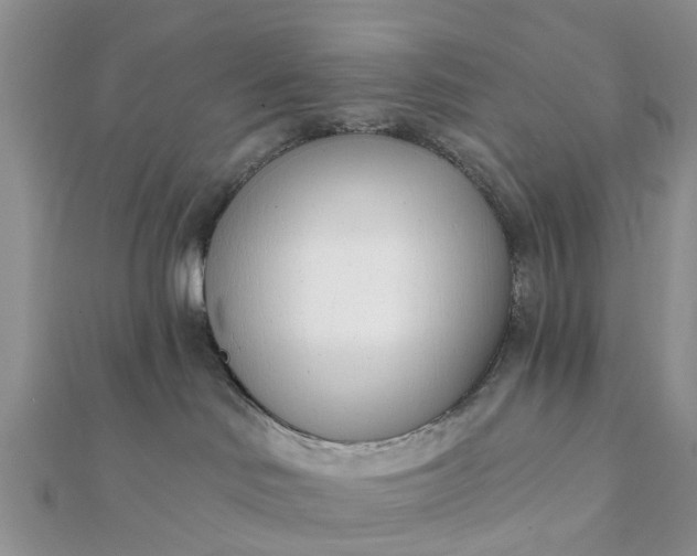 X0000112080046200908181251