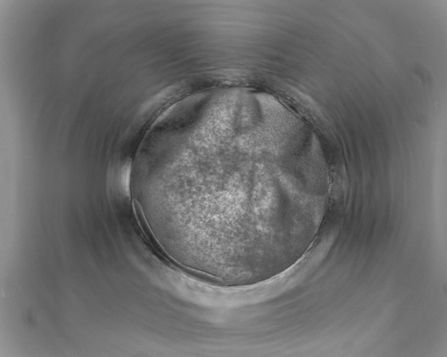 X0000112080047200908181251