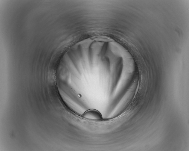 X0000112080048200908181251