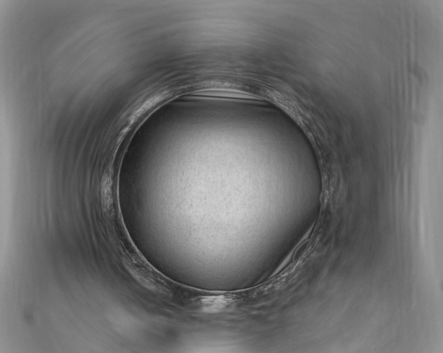 X0000112080050200908181251