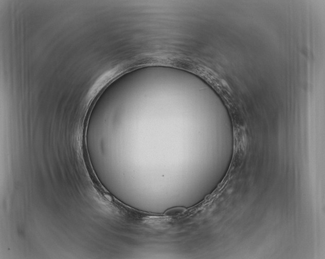 X0000112080051200908181251