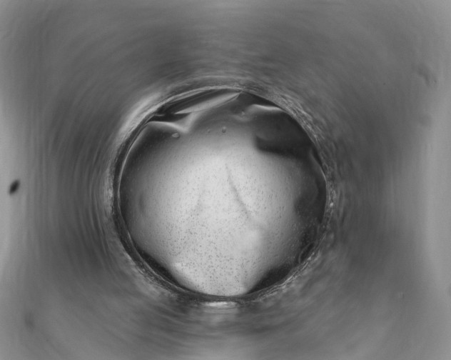 X0000112080053200908181251