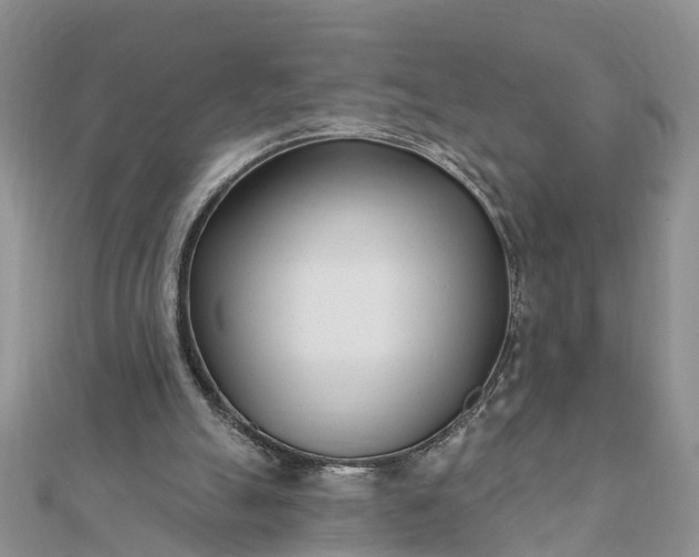 X0000112080055200908181251