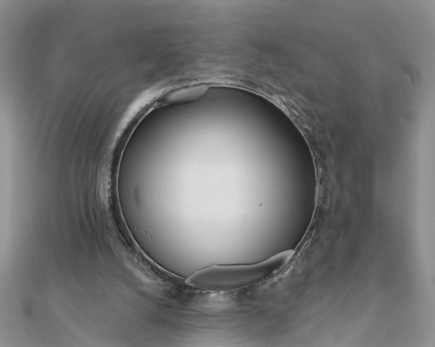 X0000112080056200908181251