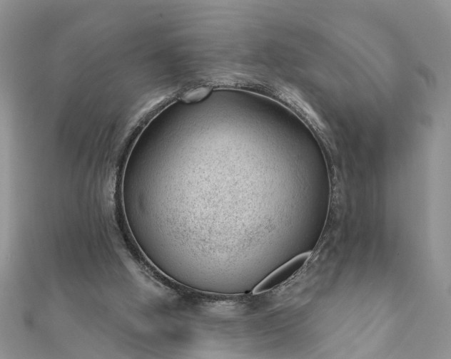 X0000112080058200908181251