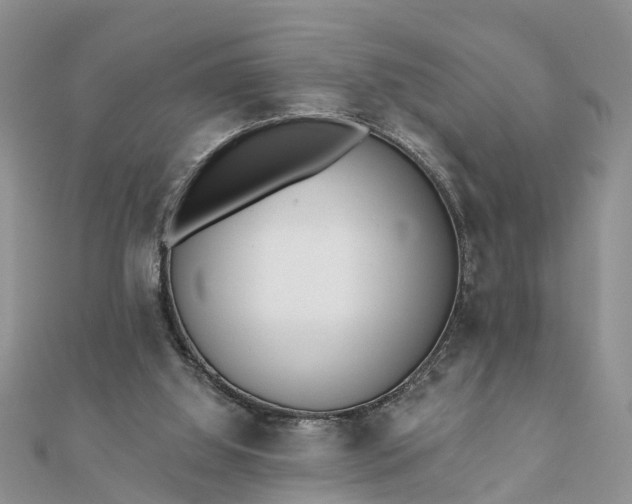 X0000112080060200908181251