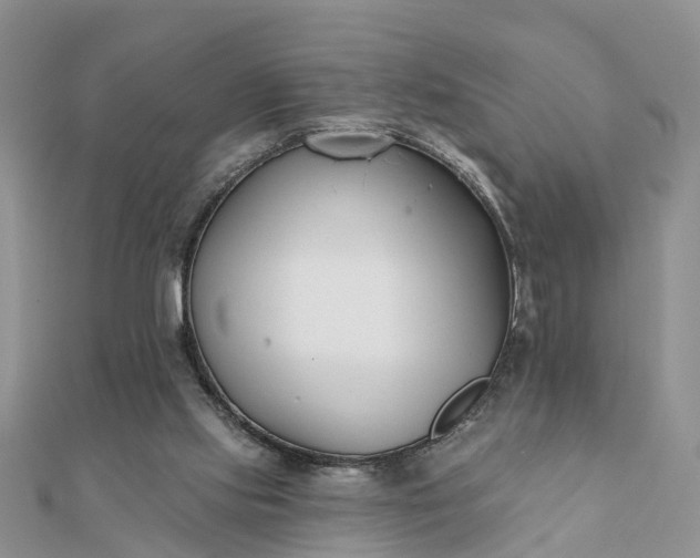 X0000112080061200908181251